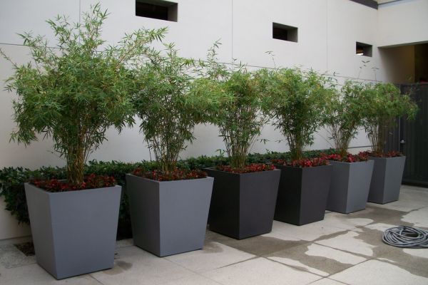 FRP Planters
